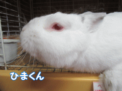 150825l.gif