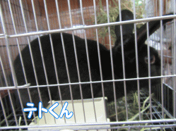 150827k.gif