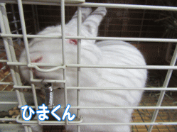 150827m.gif