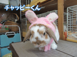 150828c.gif