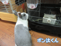 150828q.gif