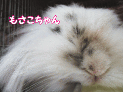 150828s.gif