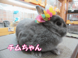 150829c.gif
