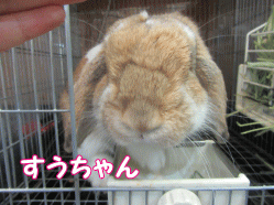 150829g.gif