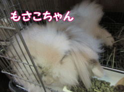 150829i.gif