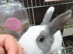 150829l.gif