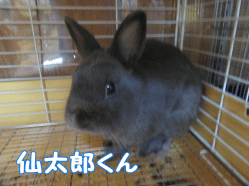 150829m.gif