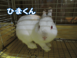 150829o.gif