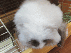 150829r.gif