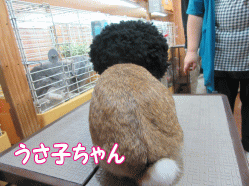 1508302a.gif