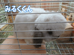 150830a.gif
