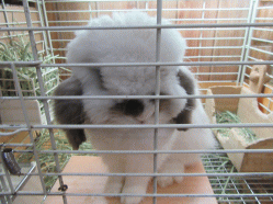 150830b.gif