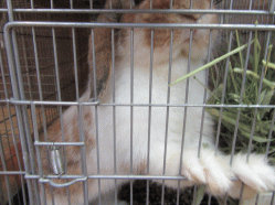 150830h.gif