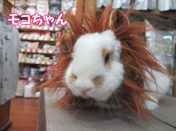 150831e.gif