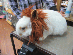 150831f.gif