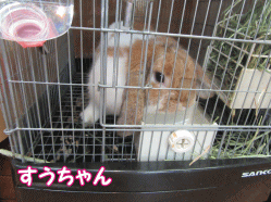 150831k.gif