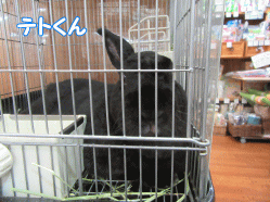 150831m.gif