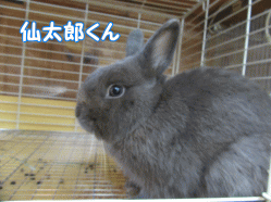 150901e.gif