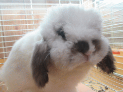150901o.gif
