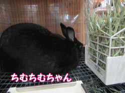 150901p.gif