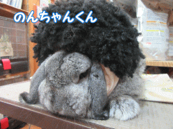 150901r.gif