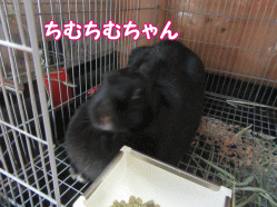 150903i.gif