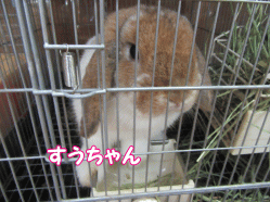 150903k.gif