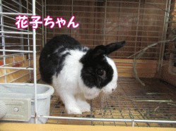 150903q.gif