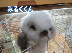 150903s.gif