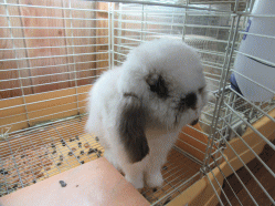 150903t.gif