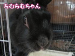 150904m.gif