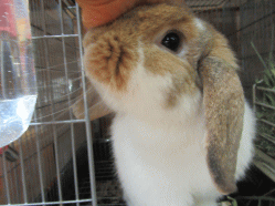 150904p.gif