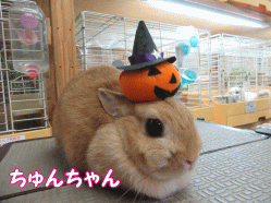 150905c.gif