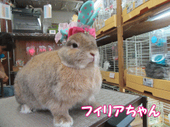 150905g.gif