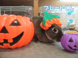 150905m.gif