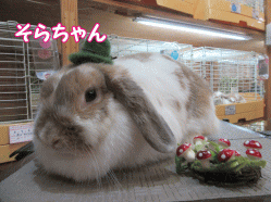150906c.gif