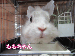 150906u.gif