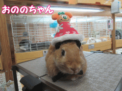 150907c.gif