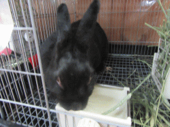 150907h.gif
