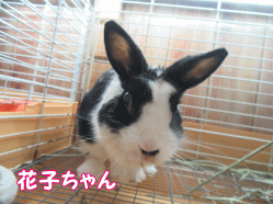 150908g.gif