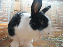 150908h.gif