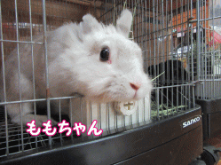 150908i.gif