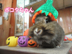 150913g.gif