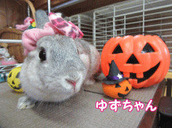 150913k.gif