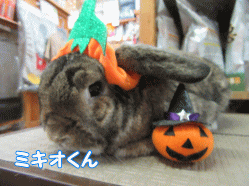 150913m.gif