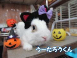 150913o.gif