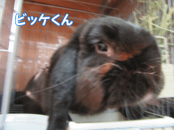 150915i.gif