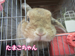 150915k.gif