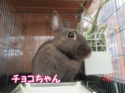 150915m.gif