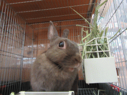 150915n.gif